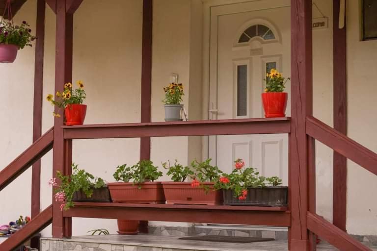 Apartment Dil Кулен Вакуф Екстериор снимка